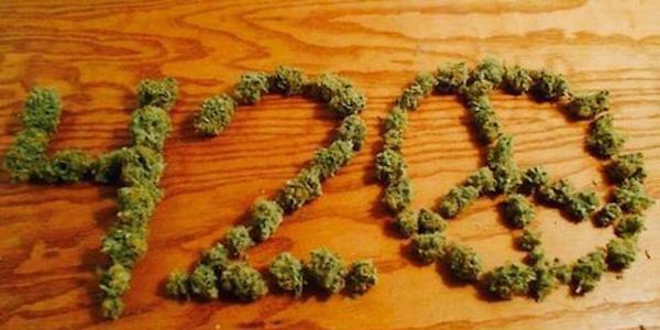 cool weed accessories 2017