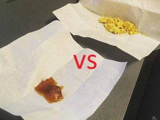 shatter vs wax